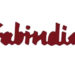 fabindia